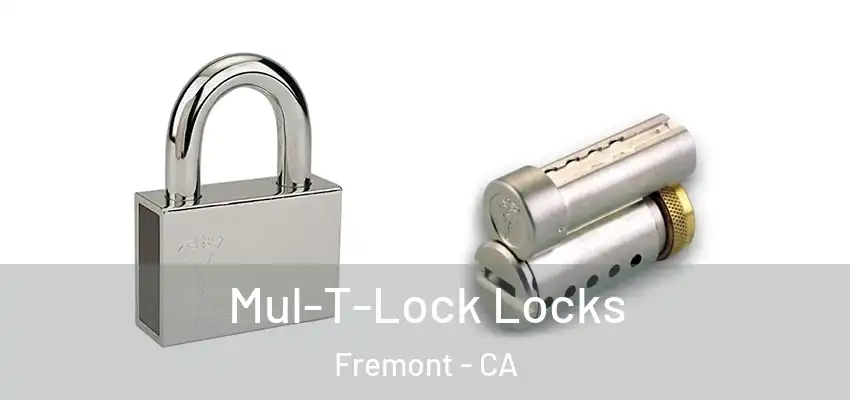  Mul-T-Lock Locks Fremont - CA